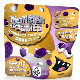 Loud Snackz | Cookies | Oatmeal Raisin | 10 Pack | 500mg (10pcs x 50mg)