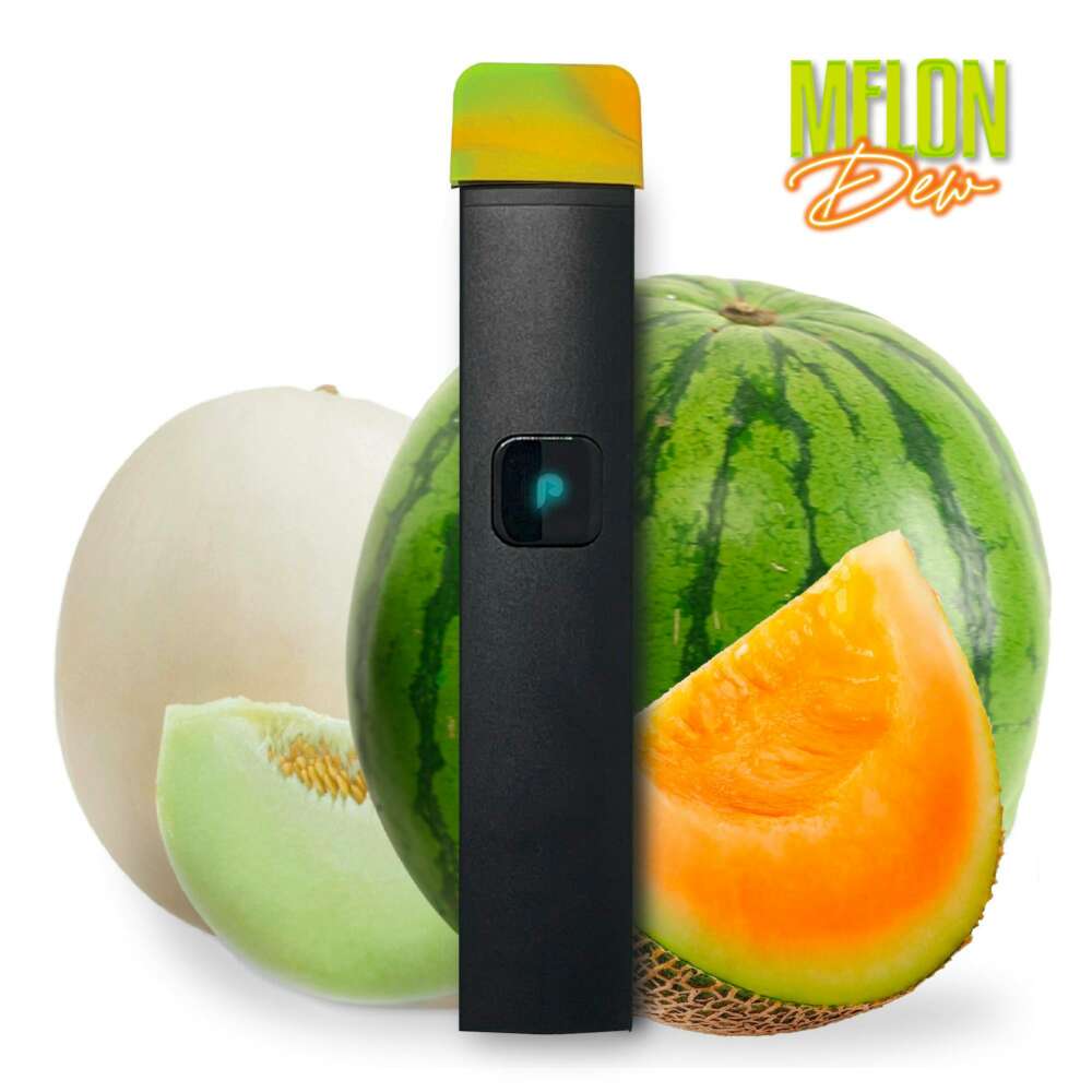 Plugplay | Disposable | Melon Dew | 1g