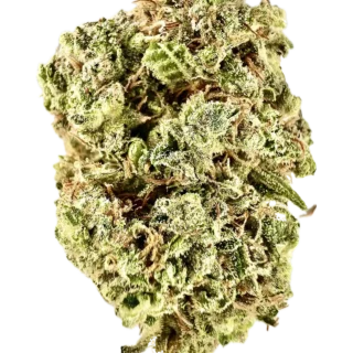 House | Flower | $200 Oz | Colombian Gold | 28g