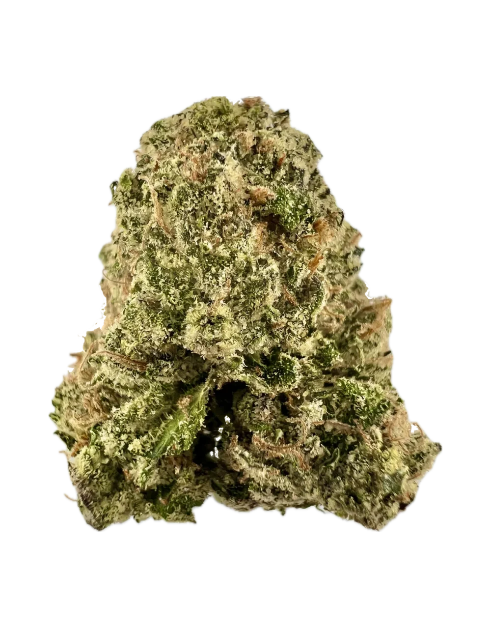 House | Flower | $$ | Black Cherry Soda | 3.5g