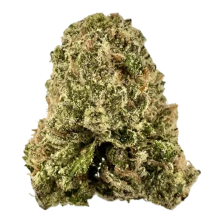 House | Flower | $$ | Black Cherry Soda | 3.5g