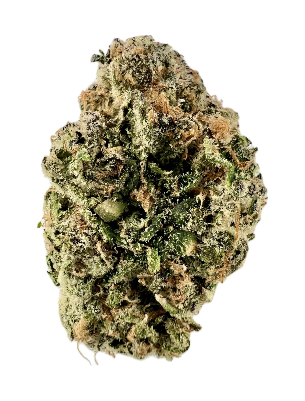 House | Flower | $$$$ | Caribbean Cookies | 3.5g