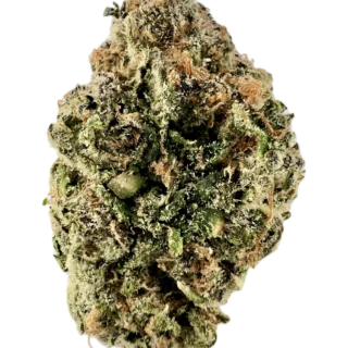 House | Flower | $$$$ | Caribbean Cookies | 3.5g