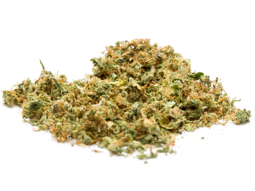 House | Shake | 28g