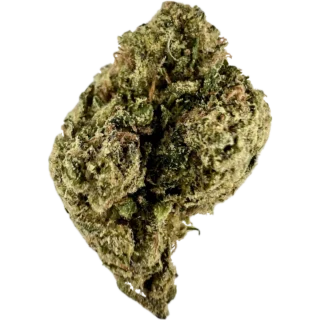 House | Flower | $ | Obama Runtz | 3.5g