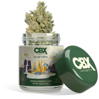 Cannabiotix (CBX) | Flower | Gluetopia | 3.5g | Indica