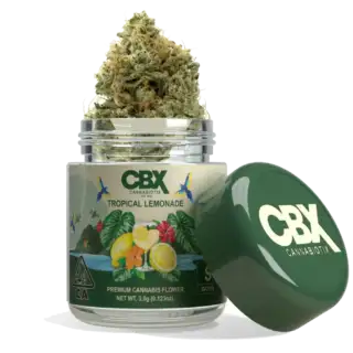 Cannabiotix (CBX) | Flower | Tropical Lemonade | 3.5g | Sativa