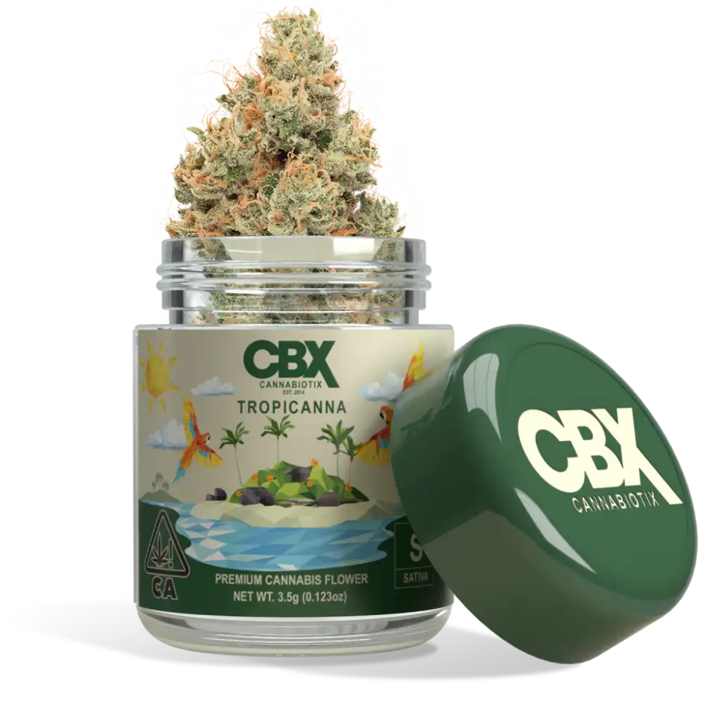 Cannabiotix (CBX) | Flower | Tropicana | 3.5g