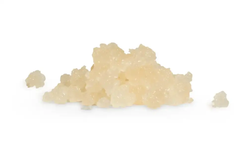 House Brand | Sugar | Runtz | 1g