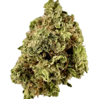 House | Flower | $ | Fire OG | 3.5g