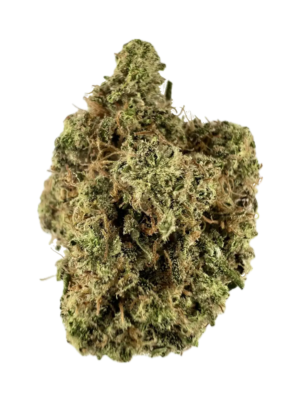 House | Flower | $ | Gorilla Glue #12 | 3.5g