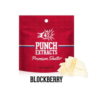 Punch Extracts | Premium Shatter | Blockberry | 1g