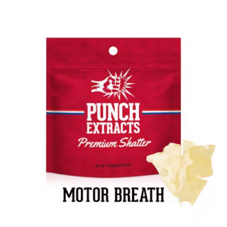 Punch Extracts | Premium Shatter | Motor Breath | 1g