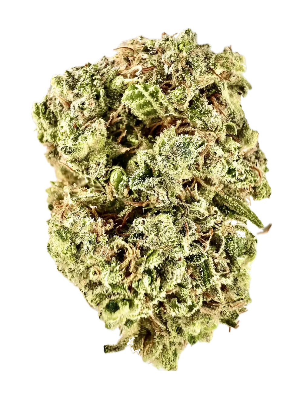 House | Flower | $200 Oz | Colombian Gold | 28g