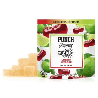 Punch Extracts | Gummies | Cherry Limeade | 10 Pack | 100mg