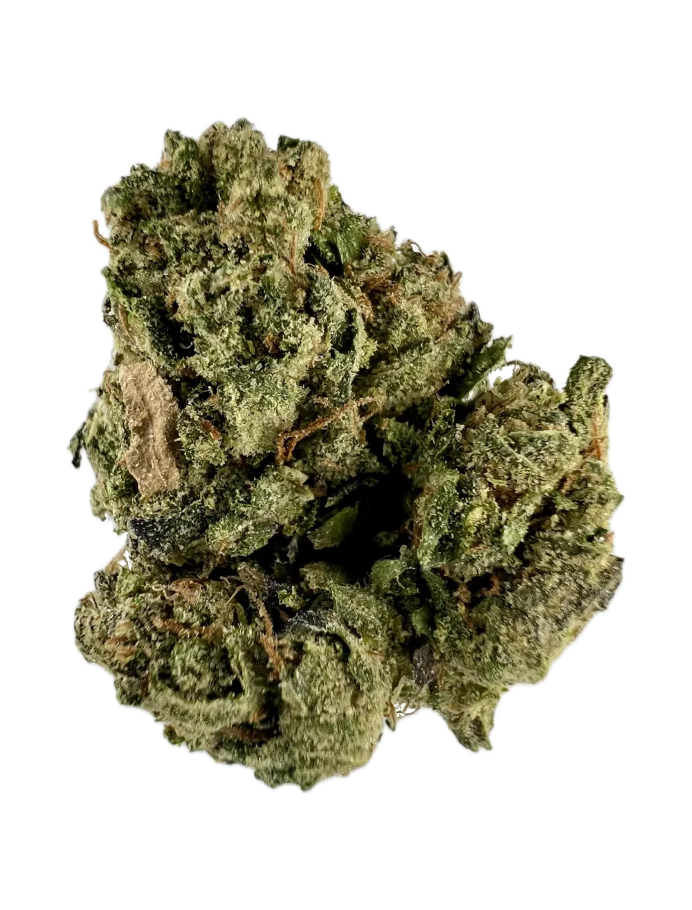 House | Flower | $160 Oz | Florida Black Haze | 28g