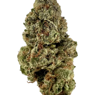 House | Flower | $ | Jillybean | 3.5g | Sativa 60%
