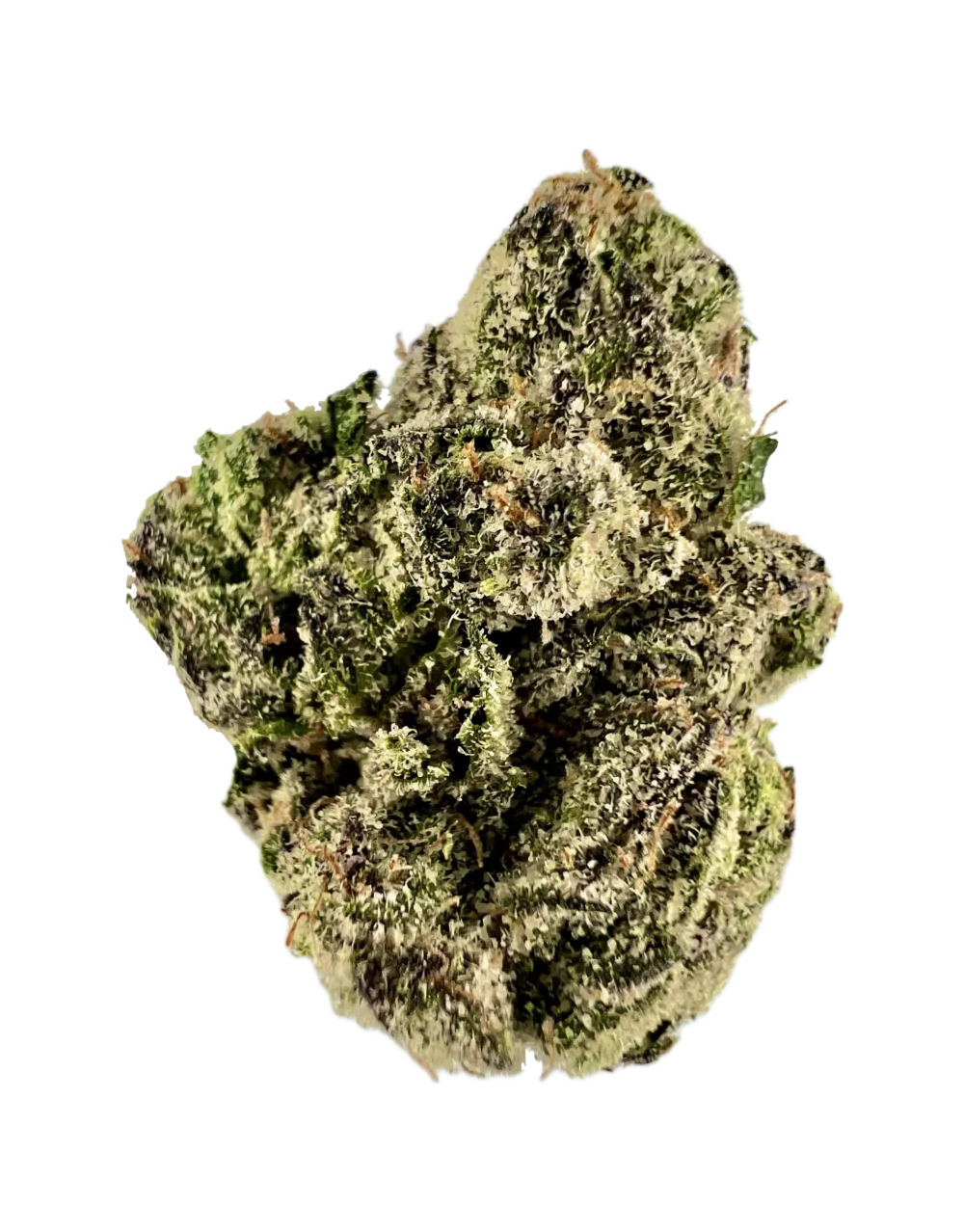House | Flower | $$$$ | Vamp Slayer | 3.5g | Indica 65%