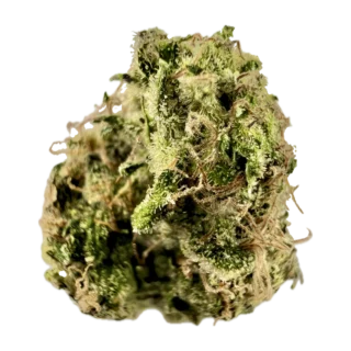 House | Flower | $$$ | White Russian | 3.5g | Hybrid