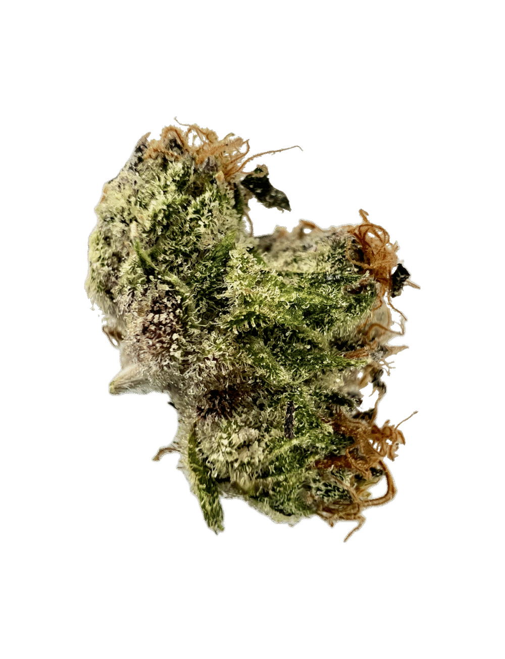 House | Flower | $ | Candyman | 3.5g | Hybrid