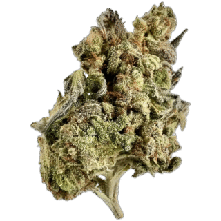 House | Flower | $ | Florida OG | 3.5g | Hybrid 50%