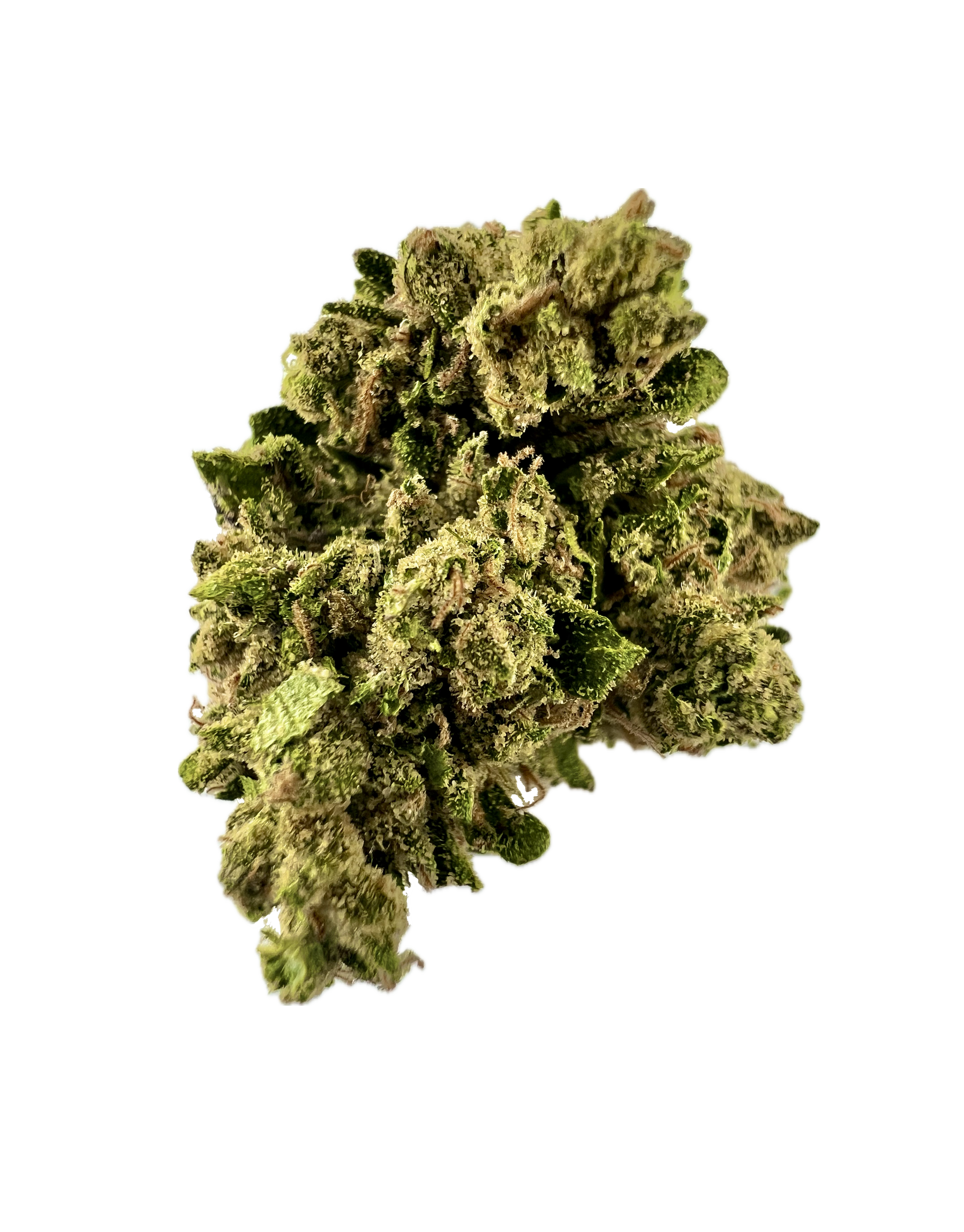 House | Flower | $ | Gluetopia | 3.5g | Hybrid