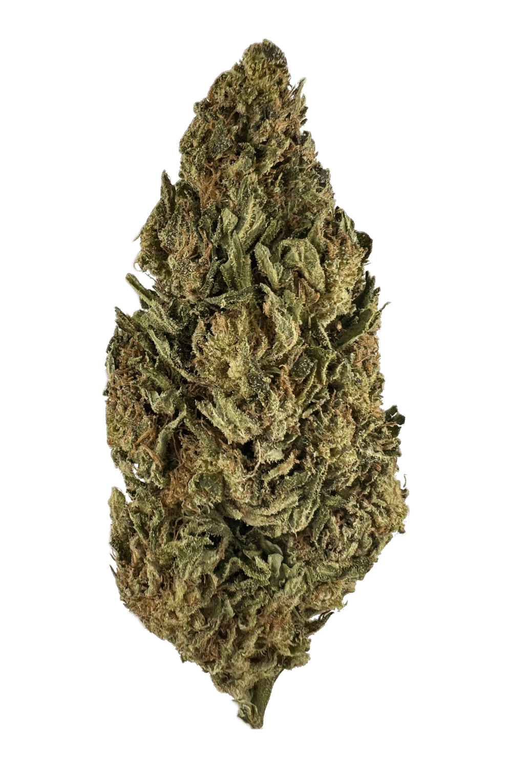 House | Flower | $100 Oz | Island Poison | 28g | Sativa 70%