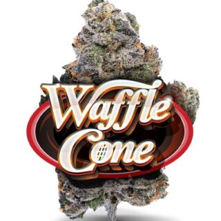 Jungle Boys | Flower | Waffle Cone | 3.5g
