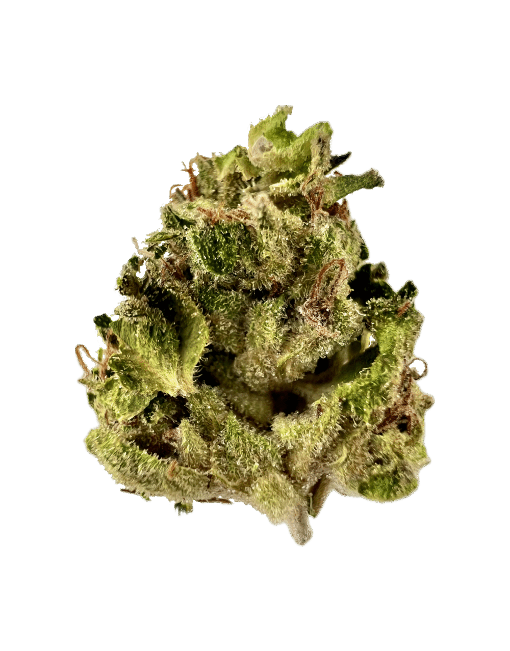 House | Flower | $100 Oz | Jungle Lemons | 28g | Sativa 70%