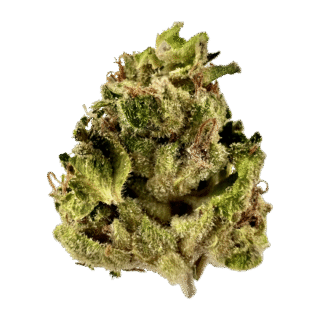 House | Flower | $100 Oz | Jungle Lemons | 28g | Sativa 70%
