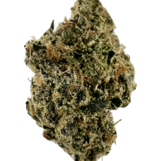 House | Flower | $$$$ | 413 Razberry Budino | 3.5g | Indica 70%