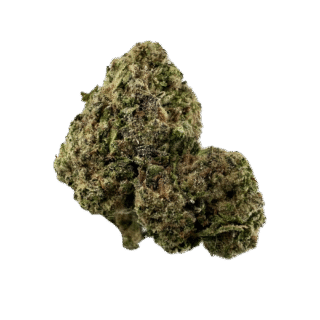 House | Flower | $100 Oz | Blue Agave | 28g | Hybrid 50%