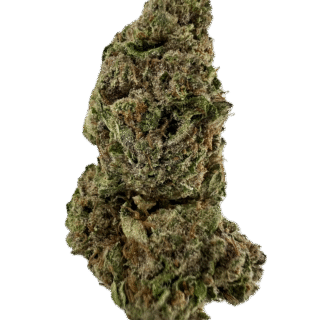 House | Flower | $100 Oz | Tropicana Cherry | 28g | Sativa 60%