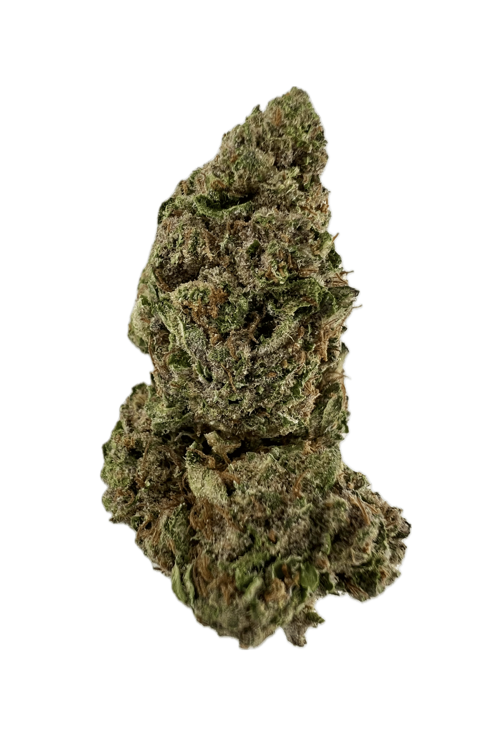 House | Flower | $100 Oz | Tropicana Cherry | 28g | Sativa 60%